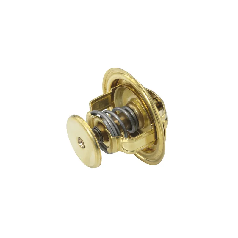 Thermostat d'eau WAHLER 4022.74 - Visuel 1