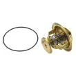 WAHLER 4022.82D1 - Thermostat d'eau