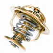 WAHLER 4033.82D - Thermostat d'eau