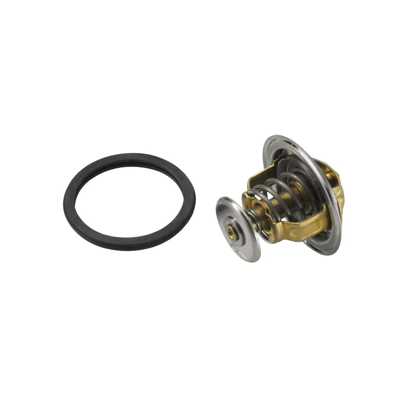 Thermostat d'eau WAHLER 4038.71D - Visuel 1