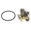 WAHLER 4088.80D - Thermostat d'eau