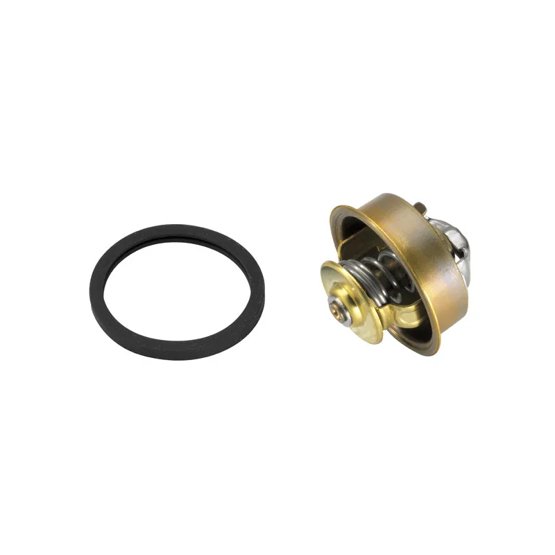 Thermostat d'eau WAHLER 4089.82D - Visuel 1