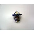 WAHLER 410179.84D - Thermostat d'eau