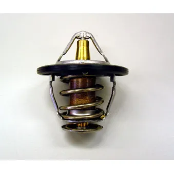 Thermostat d'eau WAHLER OEM 9091603097