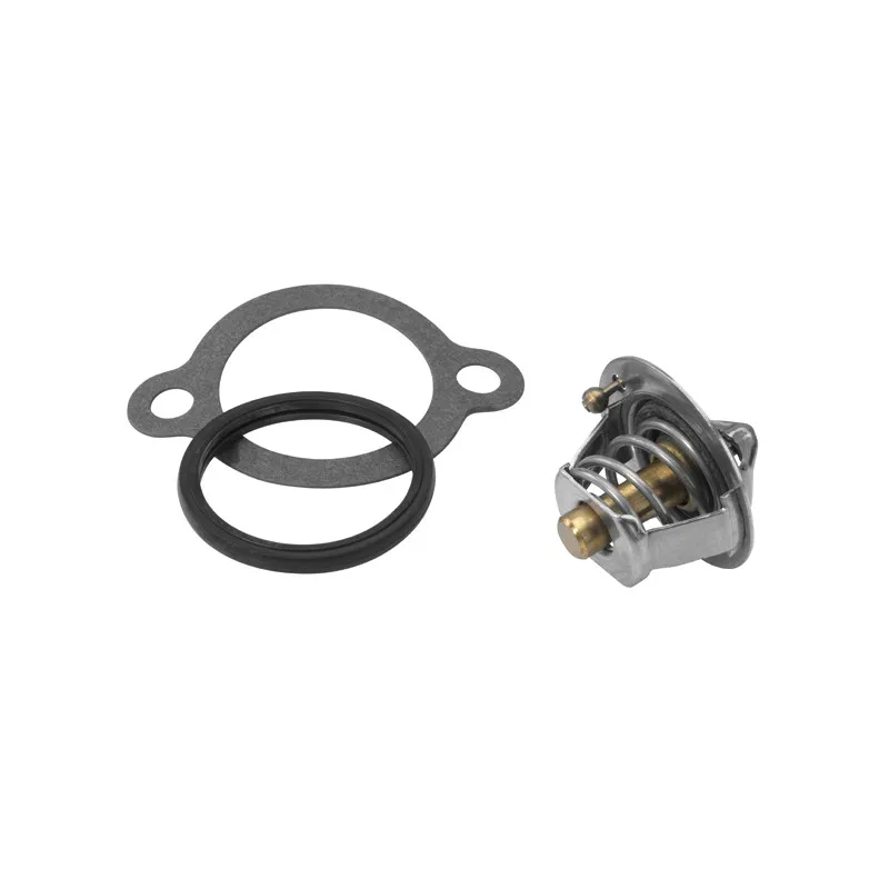 Thermostat d'eau WAHLER 410183.88D - Visuel 1