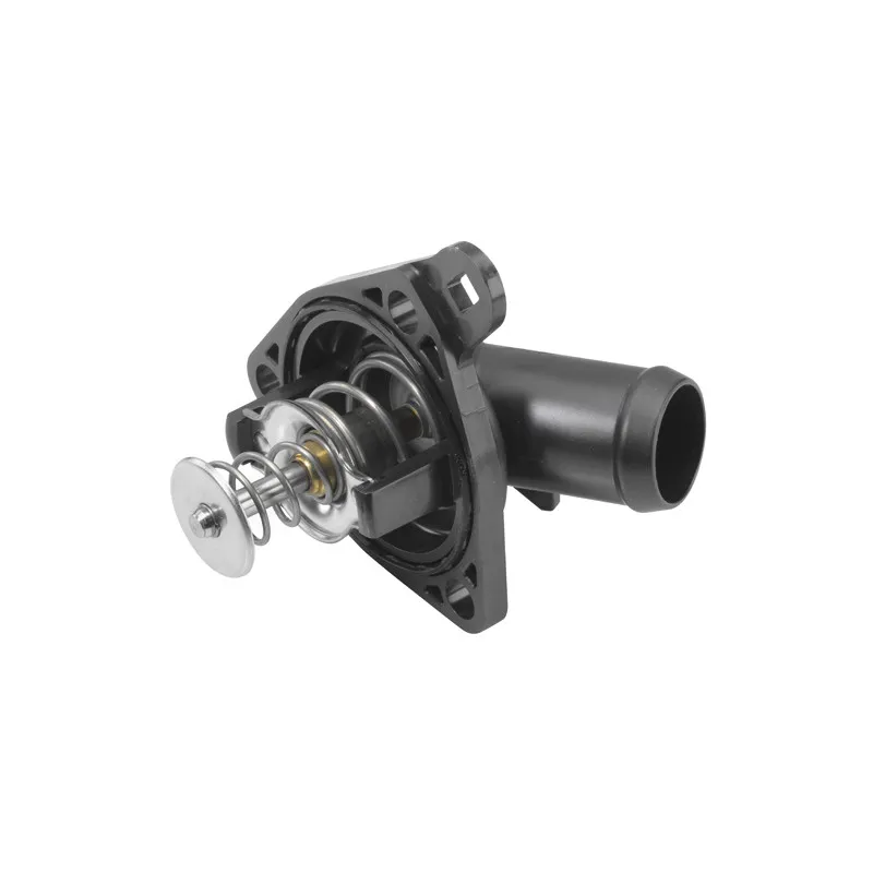 Thermostat d'eau WAHLER 410225.78D - Visuel 1