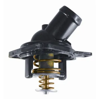 Thermostat d'eau WAHLER OEM 19301RAF003