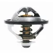 WAHLER 410289.81D - Thermostat d'eau