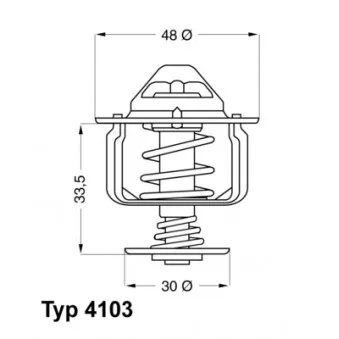 Thermostat d'eau WAHLER OEM 9091603069