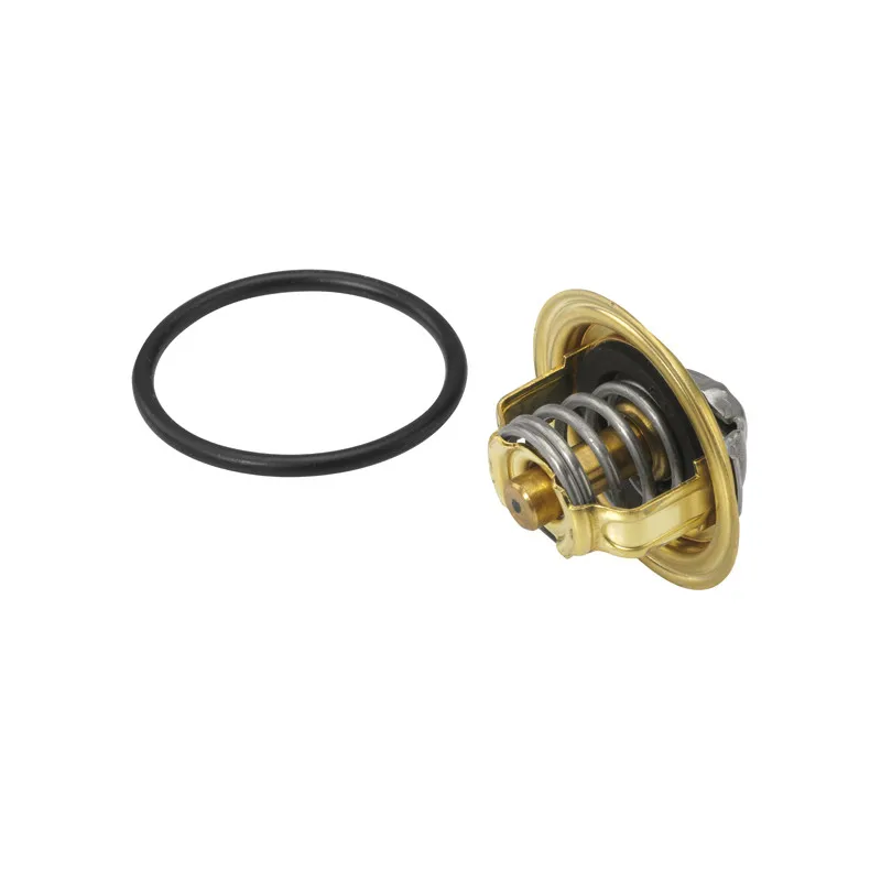 Thermostat d'eau WAHLER 410396.82D - Visuel 1