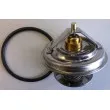 WAHLER 4105.65D - Thermostat d'eau