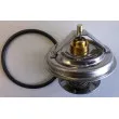 WAHLER 4105.71D - Thermostat d'eau