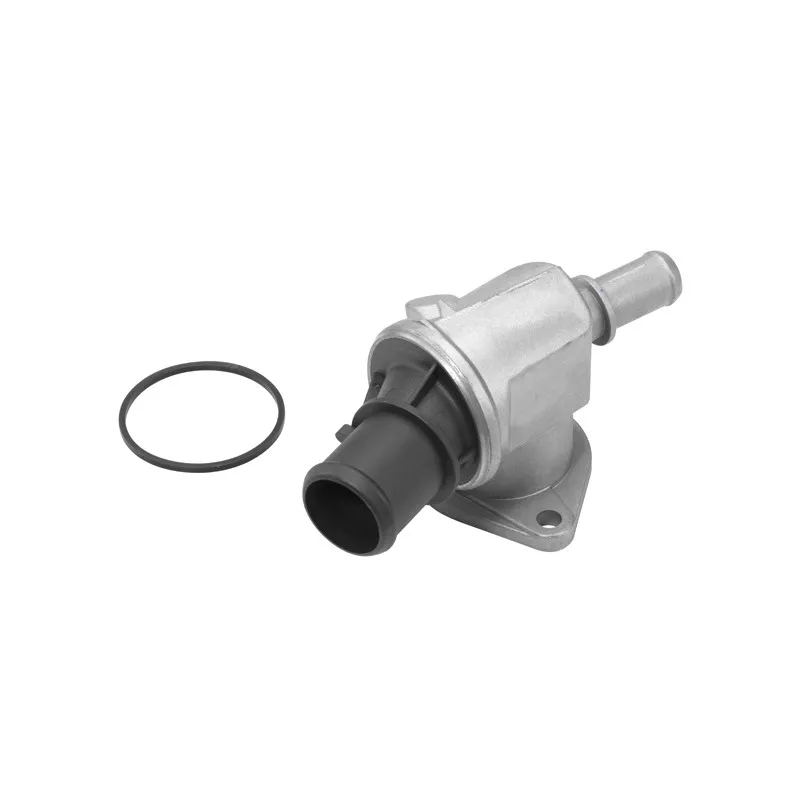 Thermostat d'eau WAHLER 410515.88D - Visuel 1