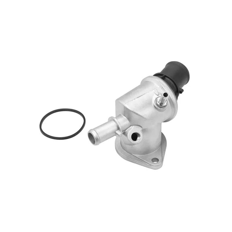 Thermostat d'eau WAHLER 410516.88D - Visuel 1