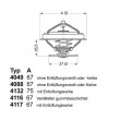 WAHLER 4117.80D - Thermostat d'eau