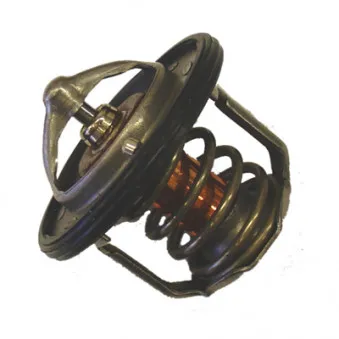 WAHLER 411715.84D - Thermostat d'eau