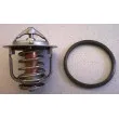 WAHLER 411955.88D - Thermostat d'eau