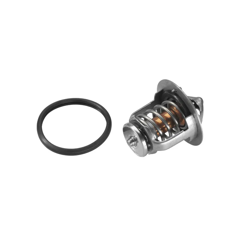 Thermostat d'eau WAHLER 411955.88D - Visuel 1