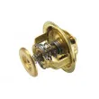 WAHLER 4126.88 - Thermostat d'eau