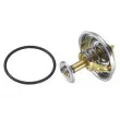 WAHLER 4137.80D - Thermostat d'eau