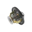 WAHLER 4151.79D - Thermostat d'eau