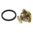 WAHLER 4154.82D - Thermostat d'eau