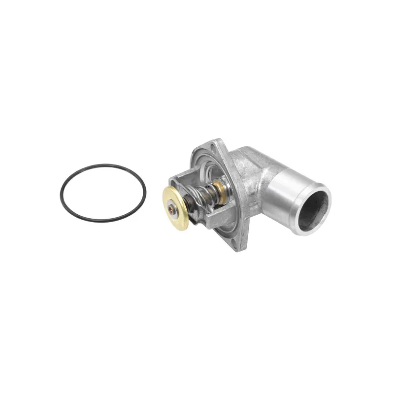 Thermostat d'eau WAHLER 4208.92D - Visuel 1