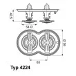 Thermostat d'eau WAHLER [4224.75D]