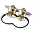 WAHLER 4224.75D - Thermostat d'eau