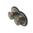 WAHLER 4224.75D - Thermostat d'eau