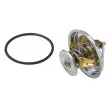 WAHLER 4235.80D - Thermostat d'eau