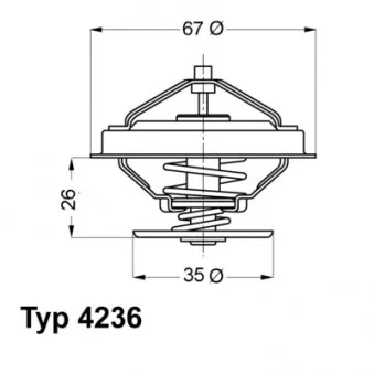 Thermostat d'eau WAHLER OEM 11531733803
