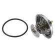 WAHLER 4236.92D - Thermostat d'eau