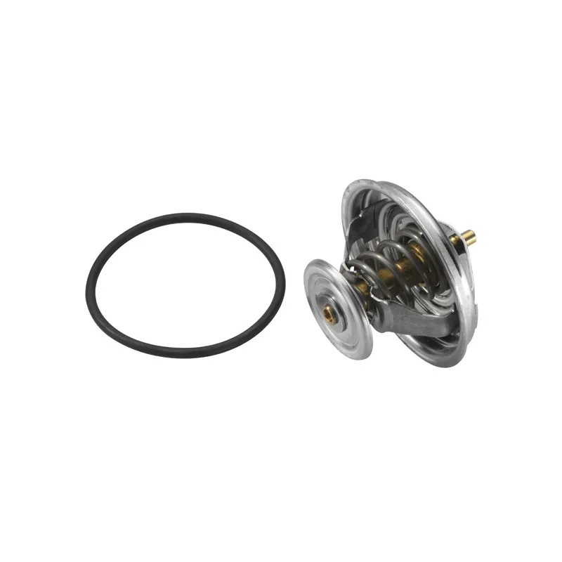 Thermostat d'eau WAHLER 4236.92D - Visuel 2