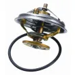 WAHLER 4237.88D - Thermostat d'eau