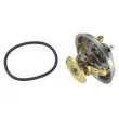 WAHLER 4237.88D - Thermostat d'eau