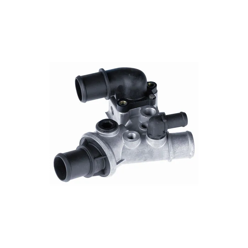 Thermostat d'eau WAHLER 4246.80D - Visuel 1