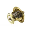 WAHLER 4256.71 - Thermostat d'eau