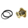 WAHLER 4256.83D60 - Thermostat d'eau