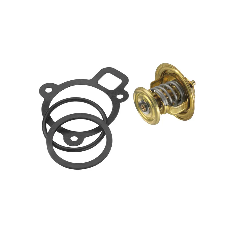 Thermostat d'eau WAHLER 4256.92D50 - Visuel 1