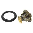 WAHLER 4269.78D - Thermostat d'eau