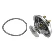 WAHLER 4455.80D - Thermostat d'eau