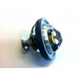 WAHLER 4489.90D - Thermostat d'eau