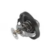 WAHLER 4489.90D - Thermostat d'eau