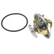 WAHLER 4516.85D - Thermostat d'eau