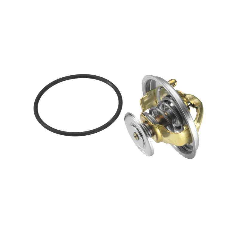 Thermostat d'eau WAHLER 4516.85D - Visuel 1