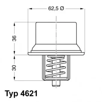 Thermostat d'eau WAHLER OEM CT5294