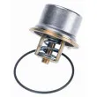 WAHLER 4621.80D - Thermostat d'eau