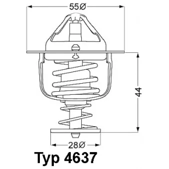 WAHLER 4637.76D - Thermostat d'eau