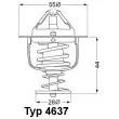 WAHLER 4637.82D - Thermostat d'eau